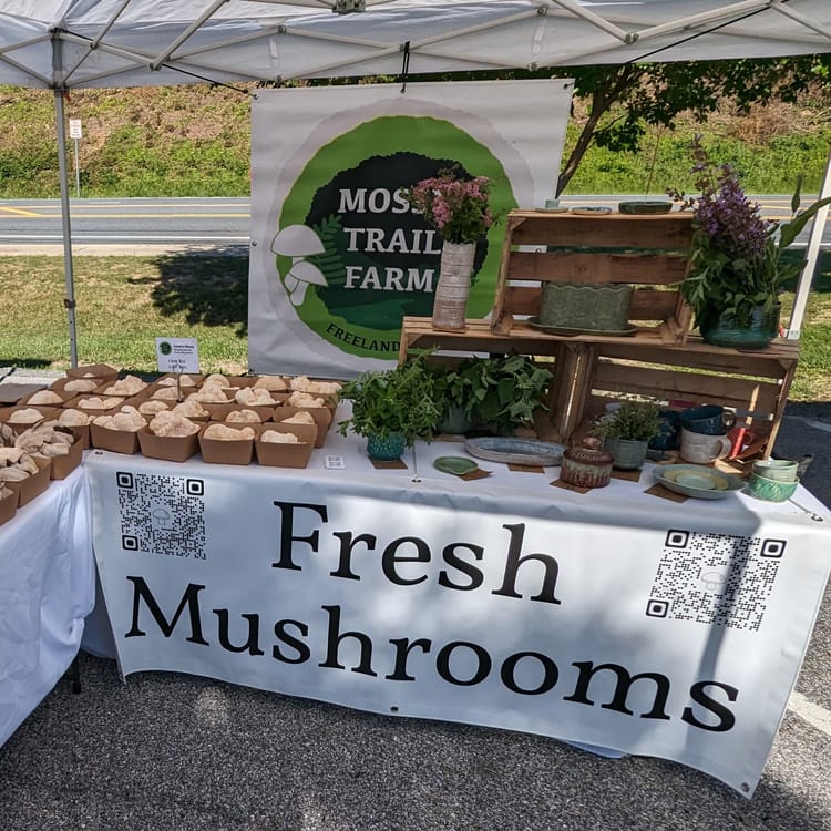 Market Season 2024